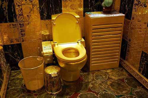 20-choses-incroyables-que-vous-ne-savez-pas-sur-les-toilettes-18