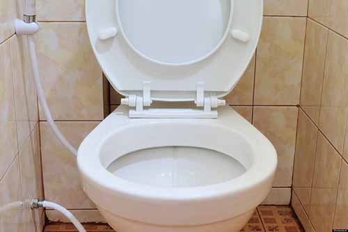 20-choses-incroyables-que-vous-ne-savez-pas-sur-les-toilettes-19