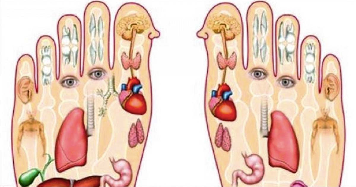 Pourquoi faut-il se masser les pieds chaque soir avant de dormir ?