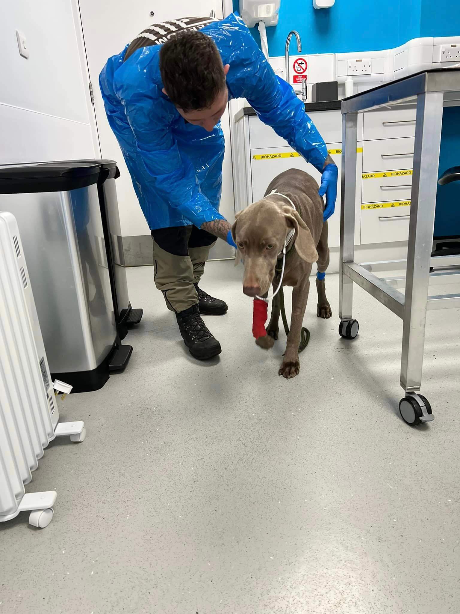 Le chien Rambo et son propriétaire