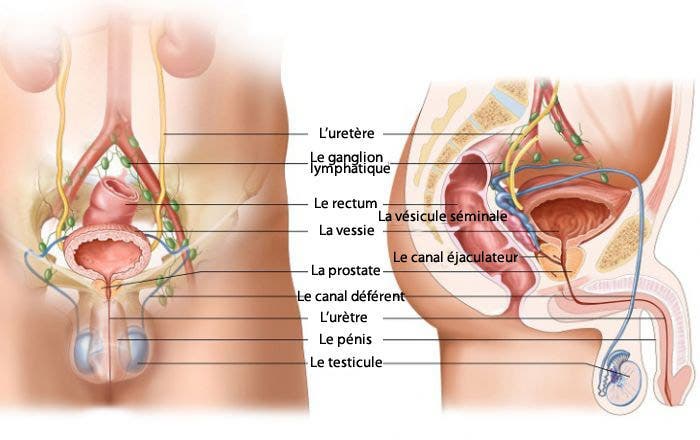 5-types-courants-de-cancer-et-leurs-symptômes-que-vous-devez-connaitre2