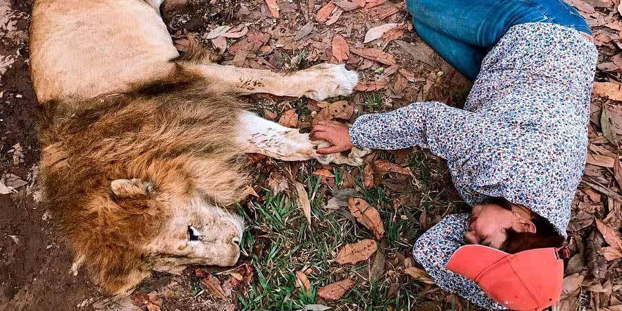 Ana Julia et le lion Jupiter