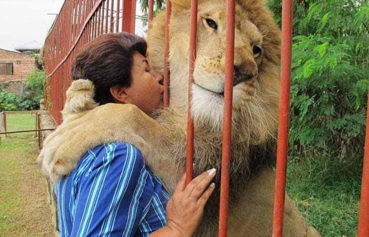 Ana Julia et le lion Jupiter2