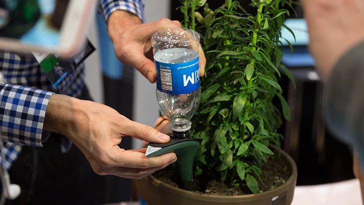 Arroser des plantes en votre absence avec une bouteille 