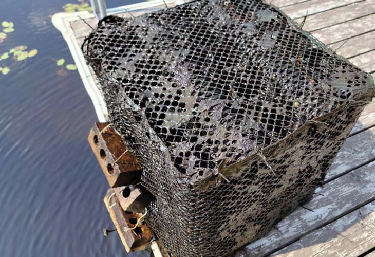 Berceaux à poissons objets utiles sous l'eau