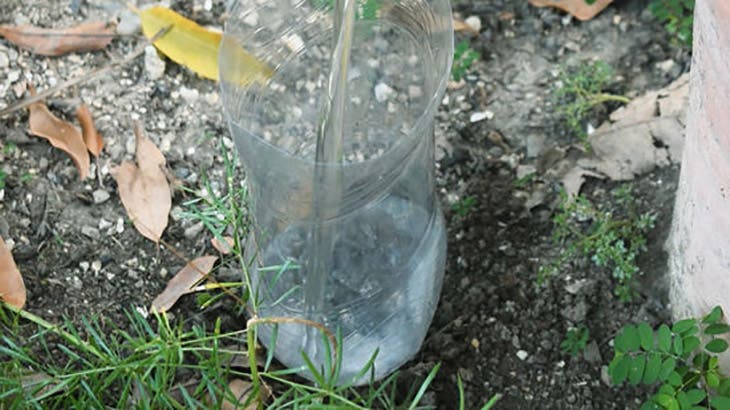 Bouteille d’eau planté dans le jardin 