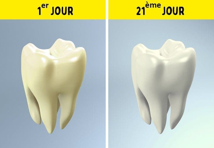 Ce qui arrive à votre corps lorsque vous ne buvez pas d’alcool pendant 28 jours