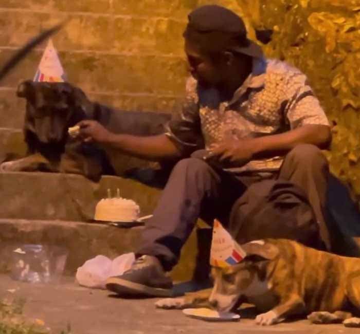 Choco en train de partager le gâteau avec ses chiens