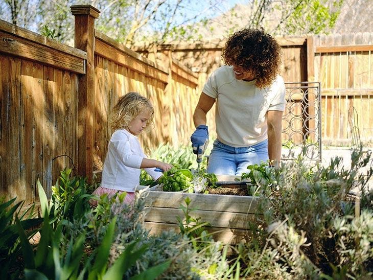 Cultiver le potager en famille - 