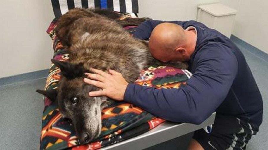 Dernier adieu entre l’agent Joseph et son chien décédé Axel