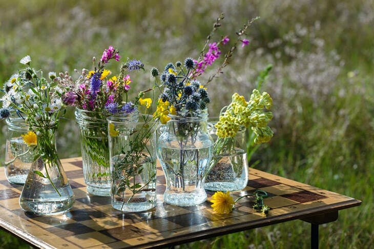 Des fleurs dans un vase rempli d’eau 