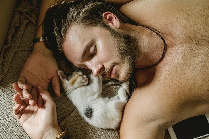 Dormir avec son chat. source : spm