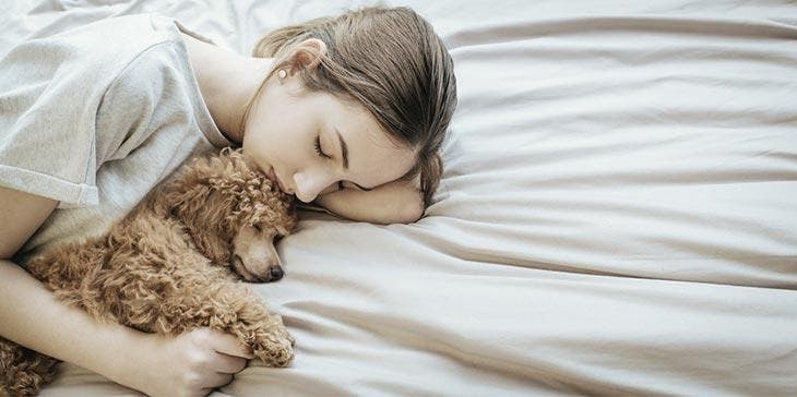 Dormir avec son chien