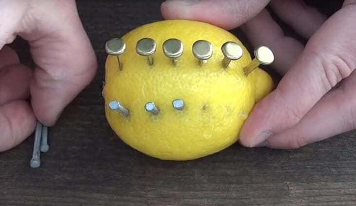 Enfoncer des clous dans un citron 