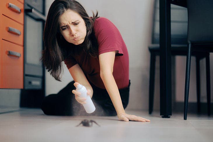 Femme qui tente de chasser une araignée. source : spm