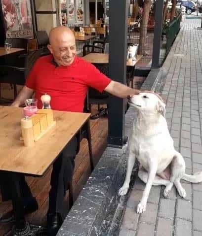 Ikram Korkmazer donne au chien à manger