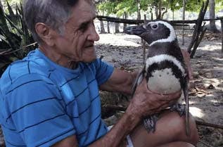 Joao joue avec le pingouin