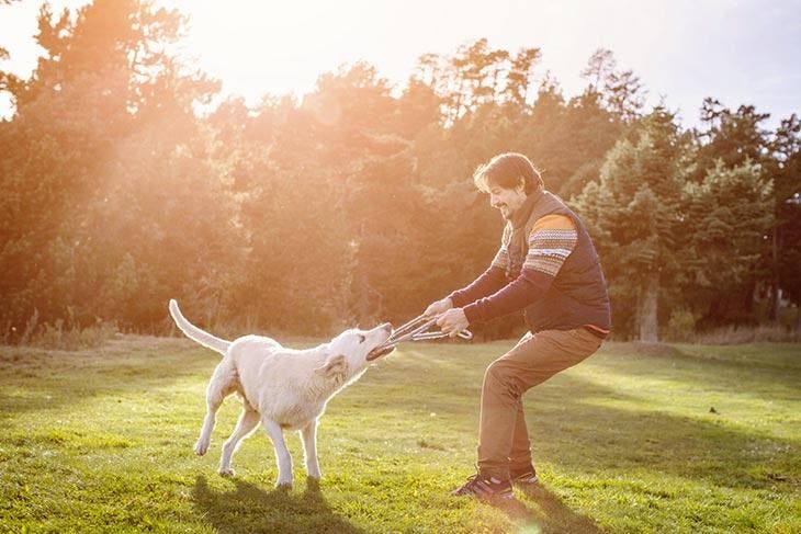 Jouer avec son chien 