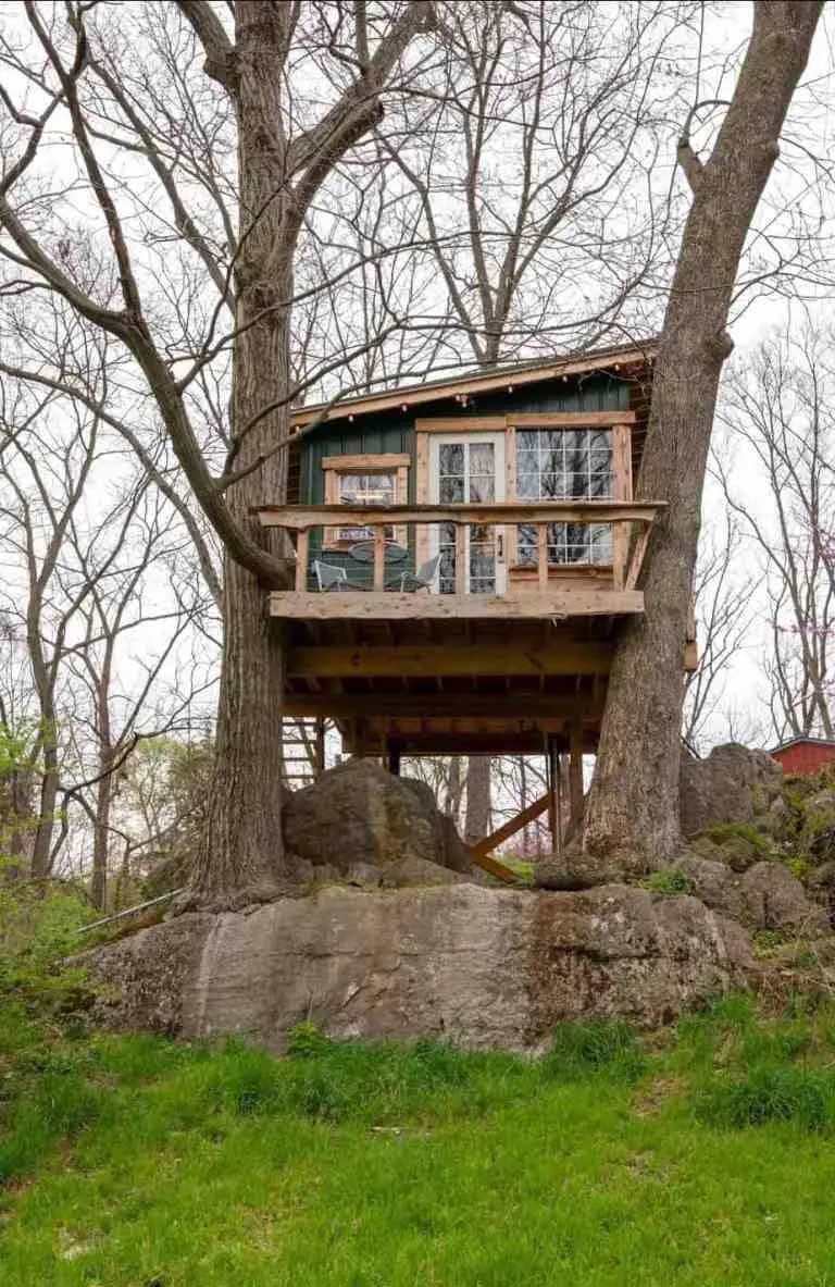 La cabane dans les arbres