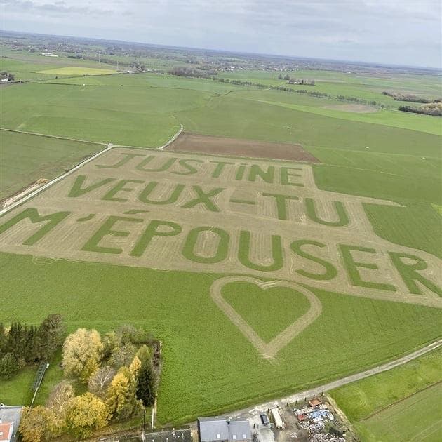 La demande de mariage dessiné sur le champ