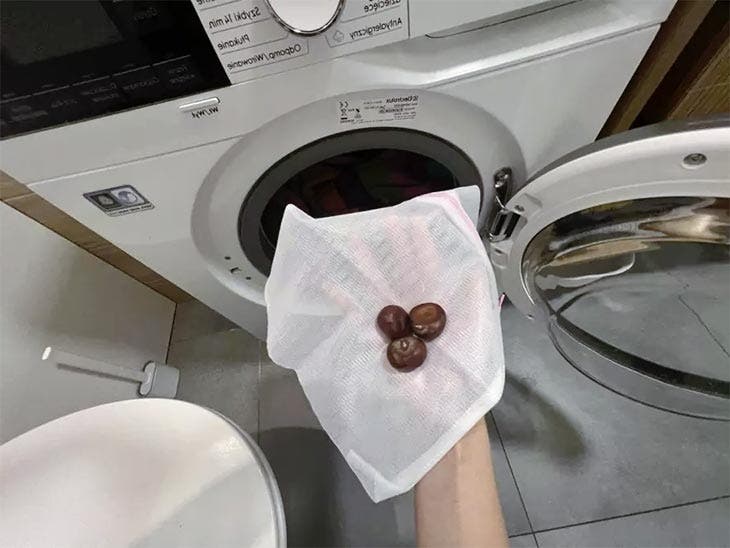 Laver le linge avec des marrons d’inde. source : spm