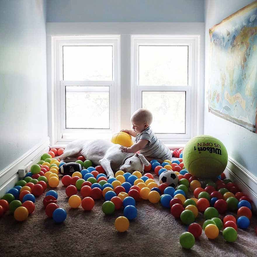 Le chien joue avec le bébé Archie