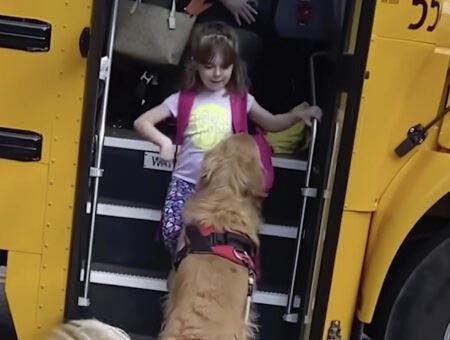 Le chien récupère la jeune fille1