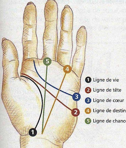 Les lignes sur votre main peuvent révéler des secrets sur vous et votre futur