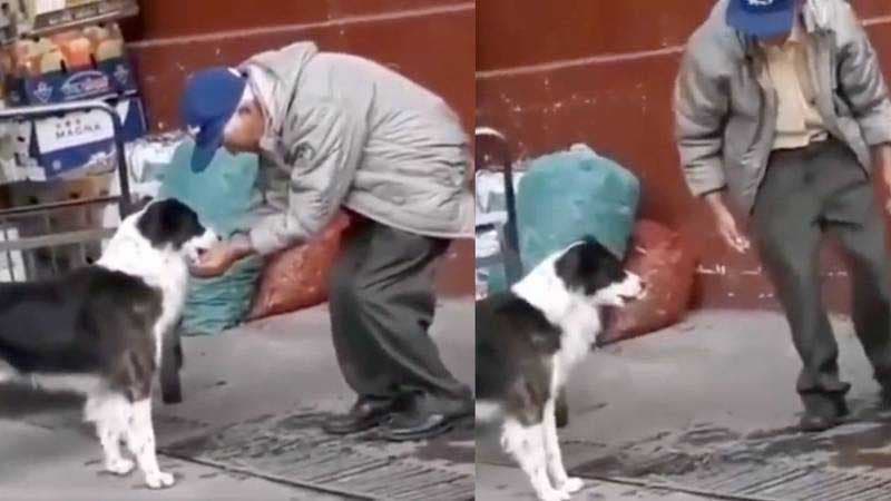 L’homme donne au chien à boire1