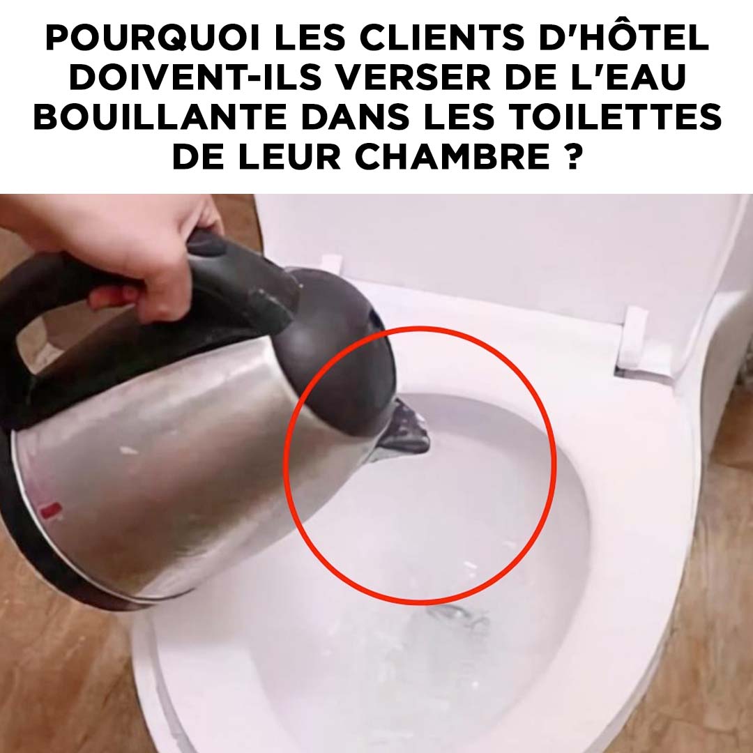 Pourquoi les clients d'hôtel doivent-ils verser de l'eau bouillante dans les toilettes de leur chambre ?