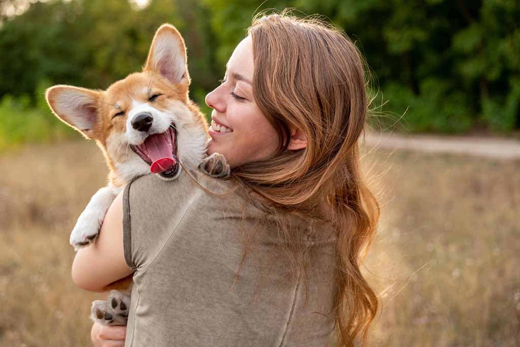 Un Corgi avec sa maitresse