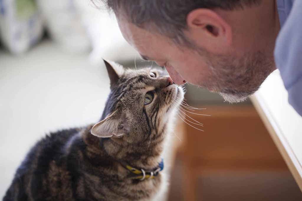 Un chat avec un homme âgé1