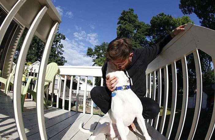 Un homme publie cette photo de son nouveau chien