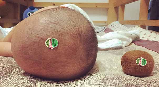 Un papa qui prend son bébé pour un kiwi géant