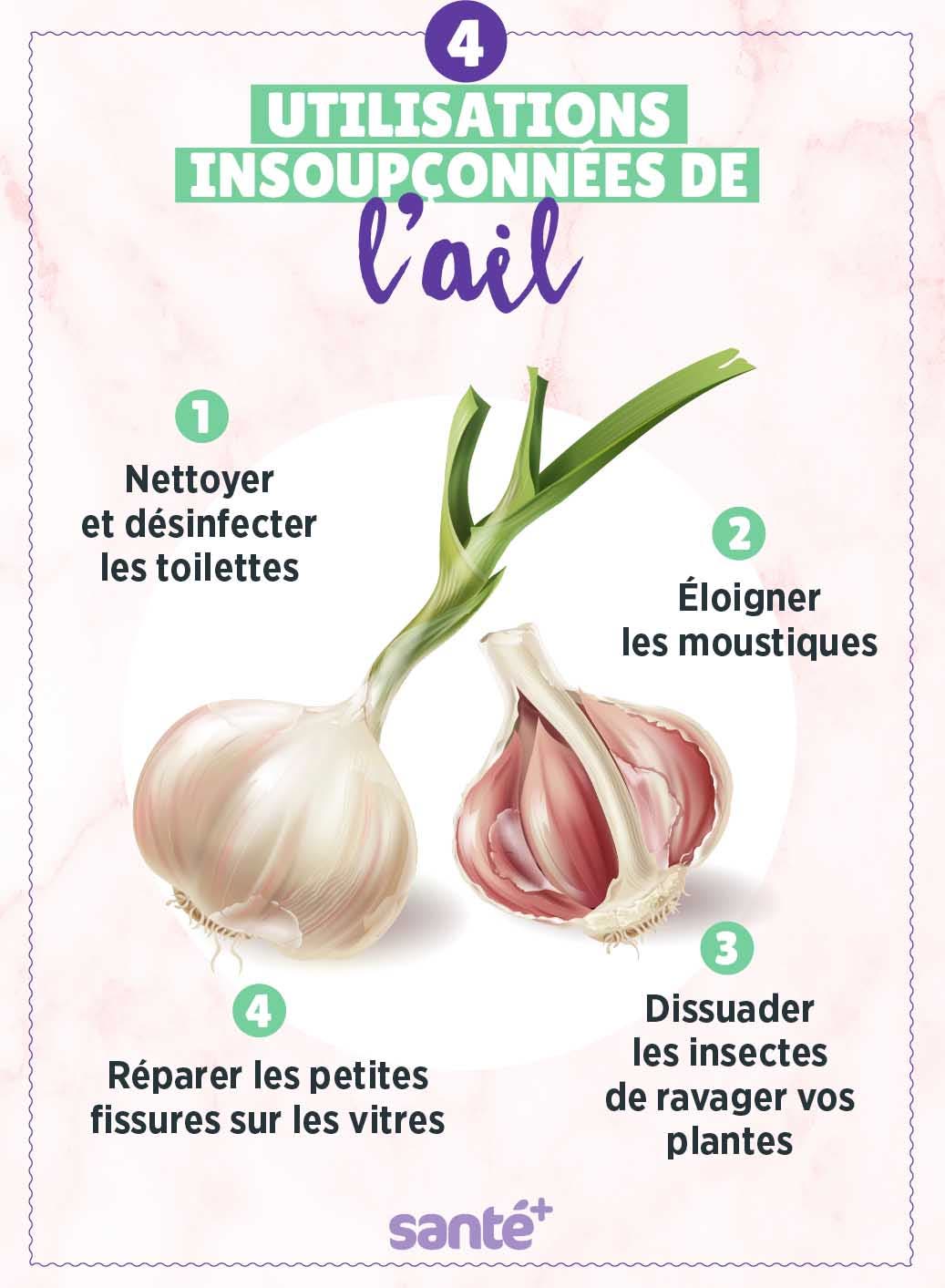 Utilisations de l’ail