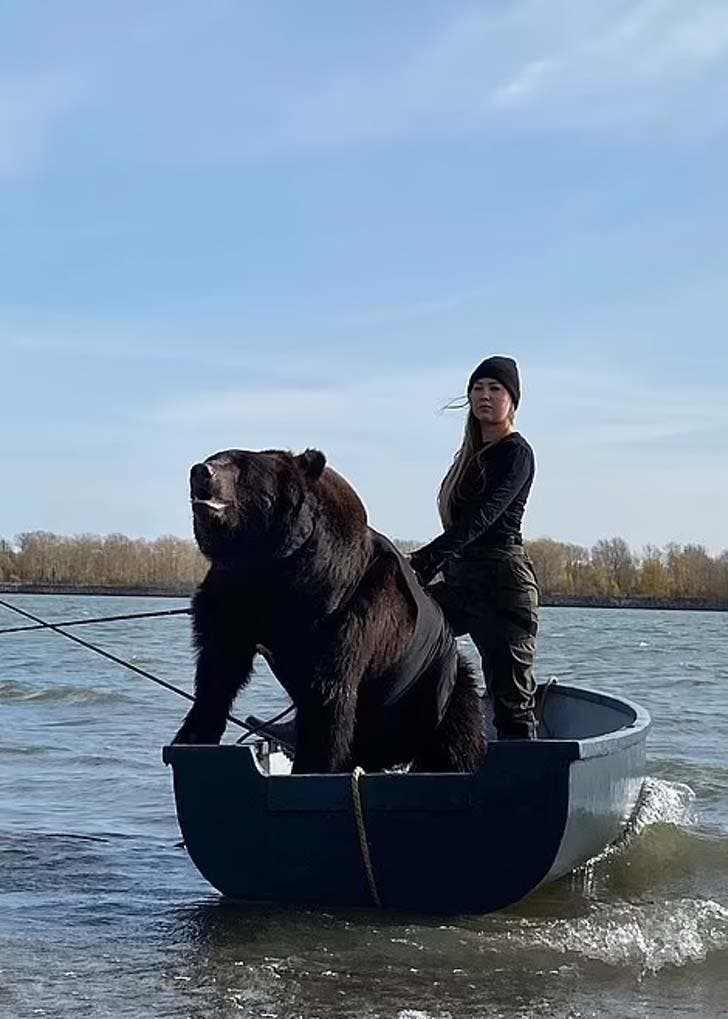 Veronika et l’ours Archie