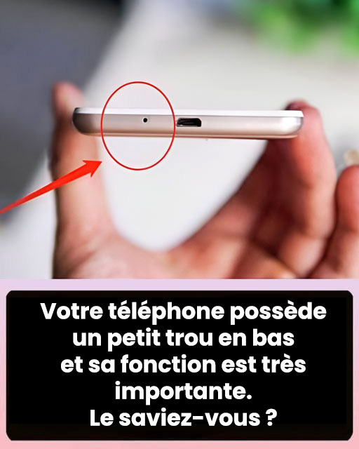 À quoi sert le petit trou en bas du téléphone ?