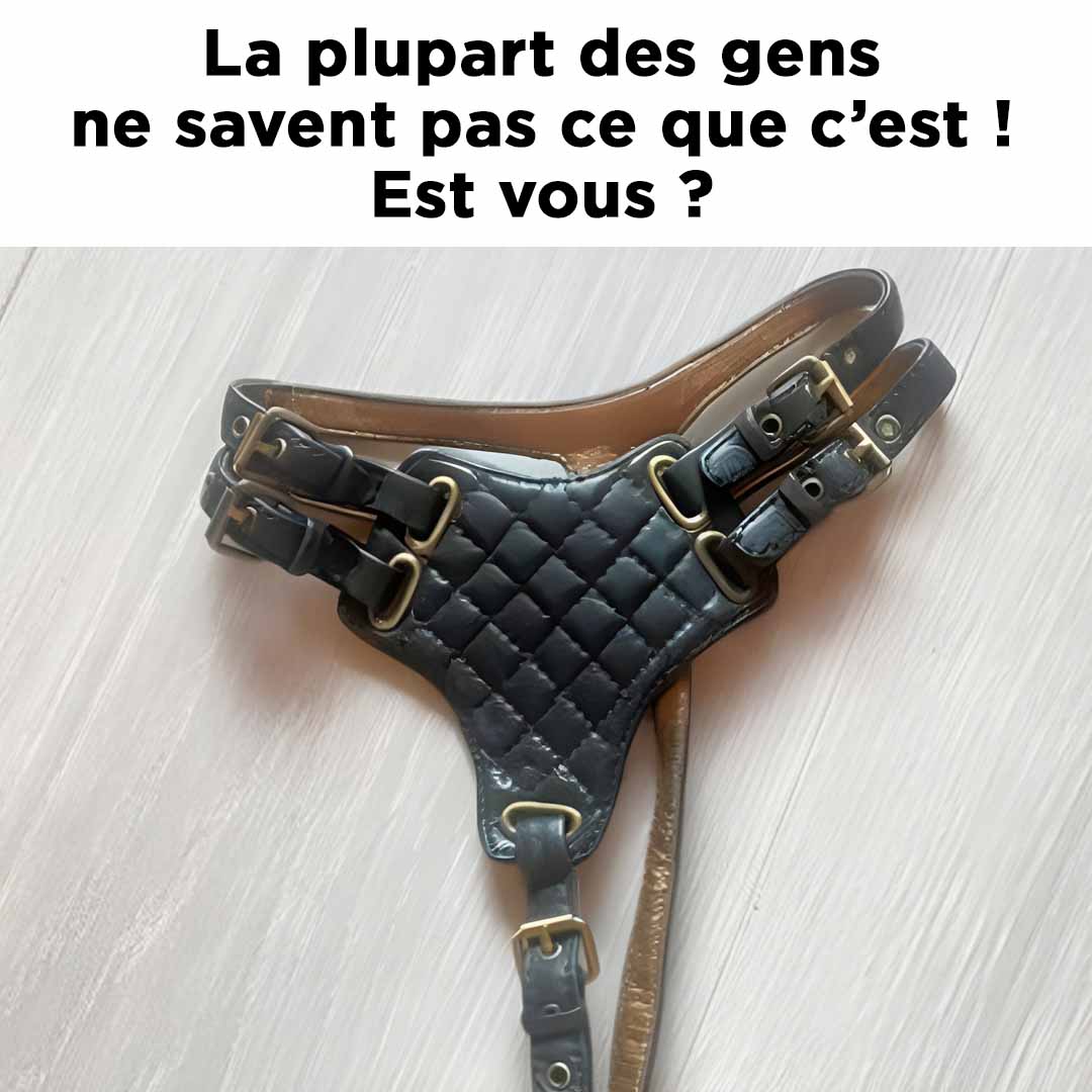 À quoi servait cet objet ?