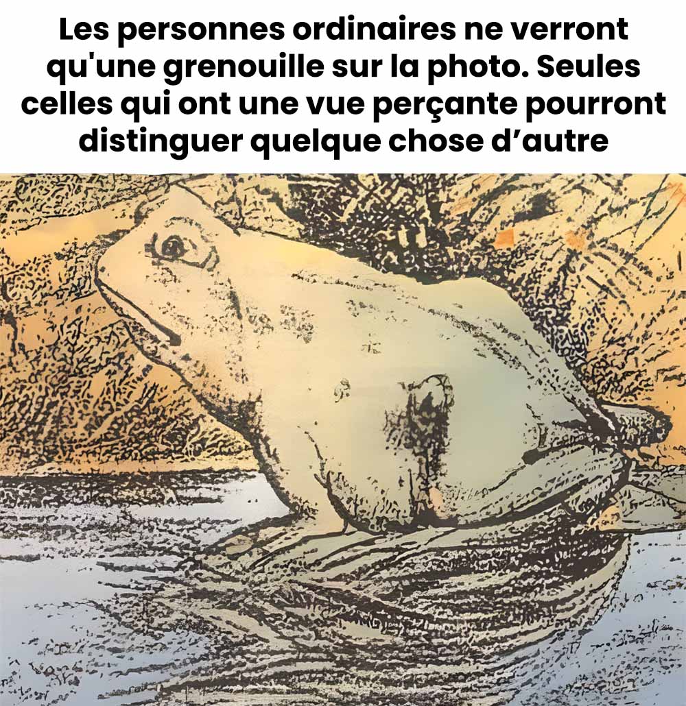 Arrivez-vous à voir le cheval qui se cache dans ce dessin de grenouille ?