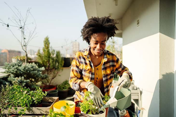 Arroser les plantes 