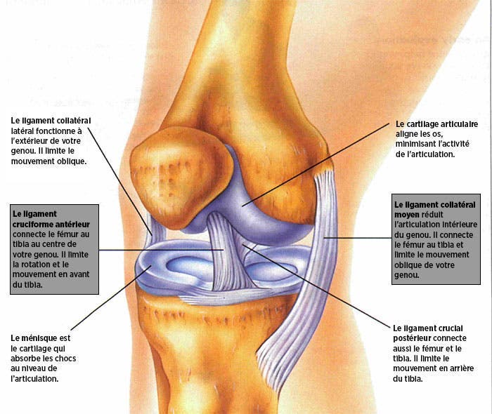 arthrite-os