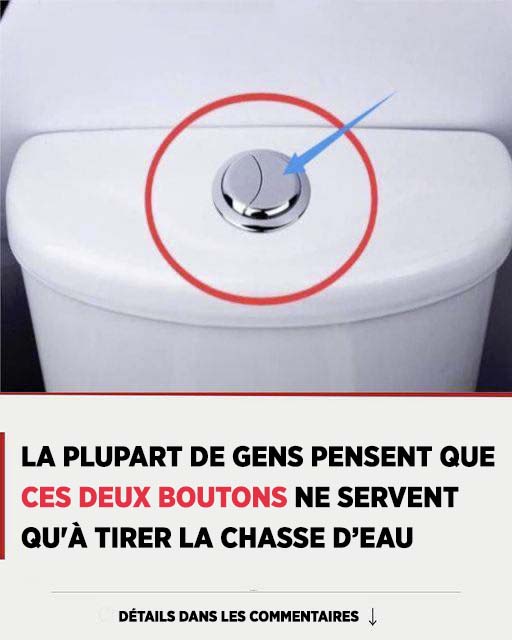 Beaucoup de gens pensent que ces 2 boutons servent uniquement à tirer la chasse d'eau