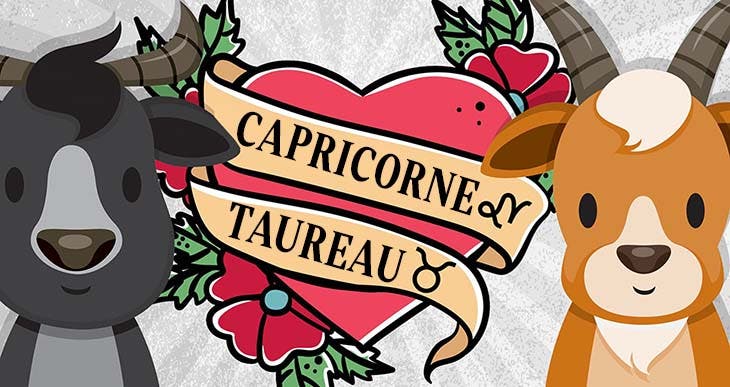 Taureau et capricorne - source : spm