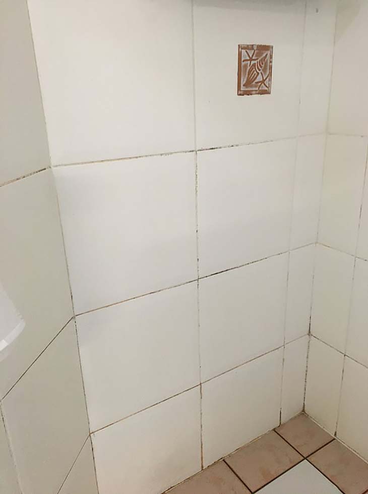 Les murs de douche de la salle de bain avant le nettoyage 