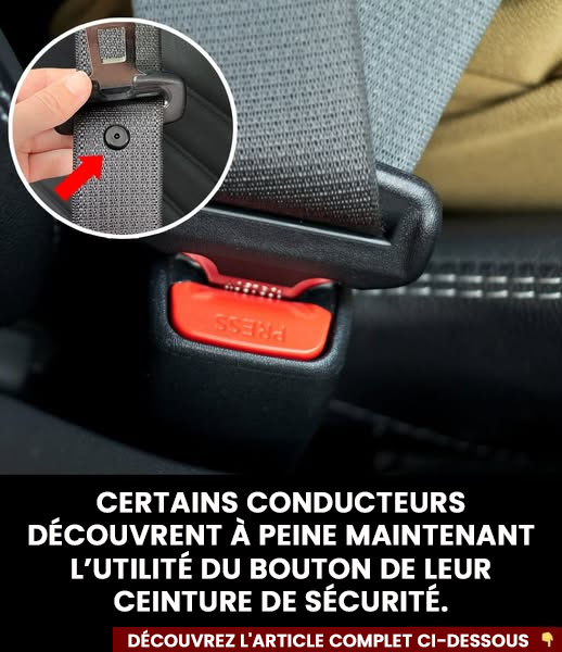 Certains conducteurs découvrent tout juste à quoi sert le bouton de leur ceinture de sécurité