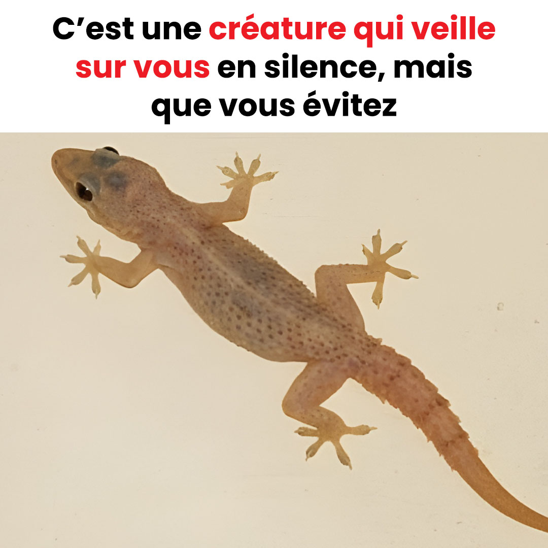 C’est une créature qui veille sur vous en silence, mais que vous évitez