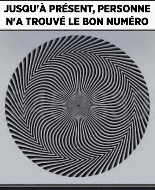 Cette illusion d’optique révèle un nombre caché – et chacun le voit différemment