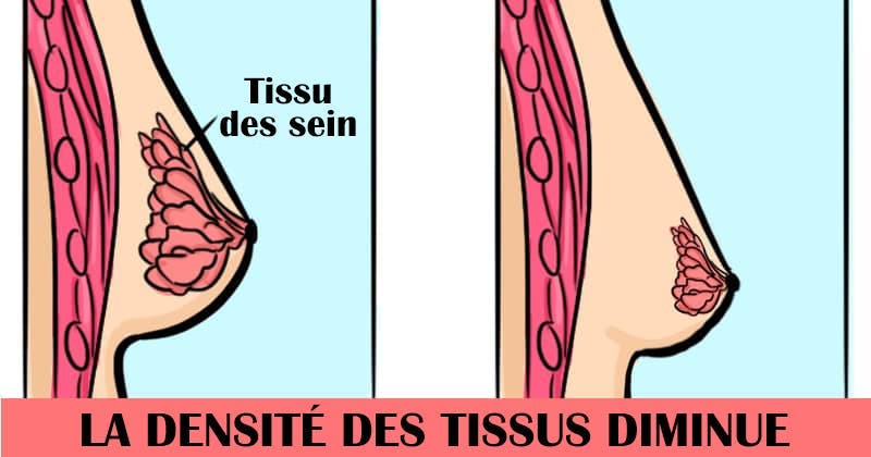 6 changements que subissent vos seins avec l’âge