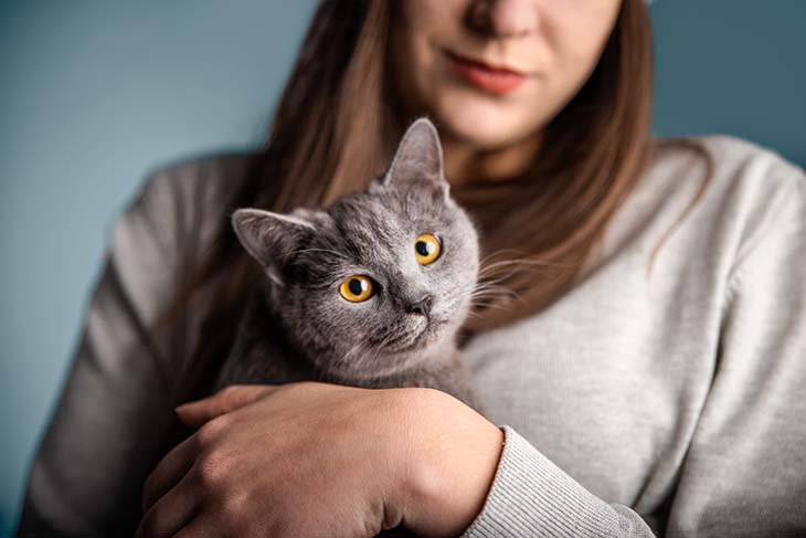 Un chat dans les bras de sa maitresse 