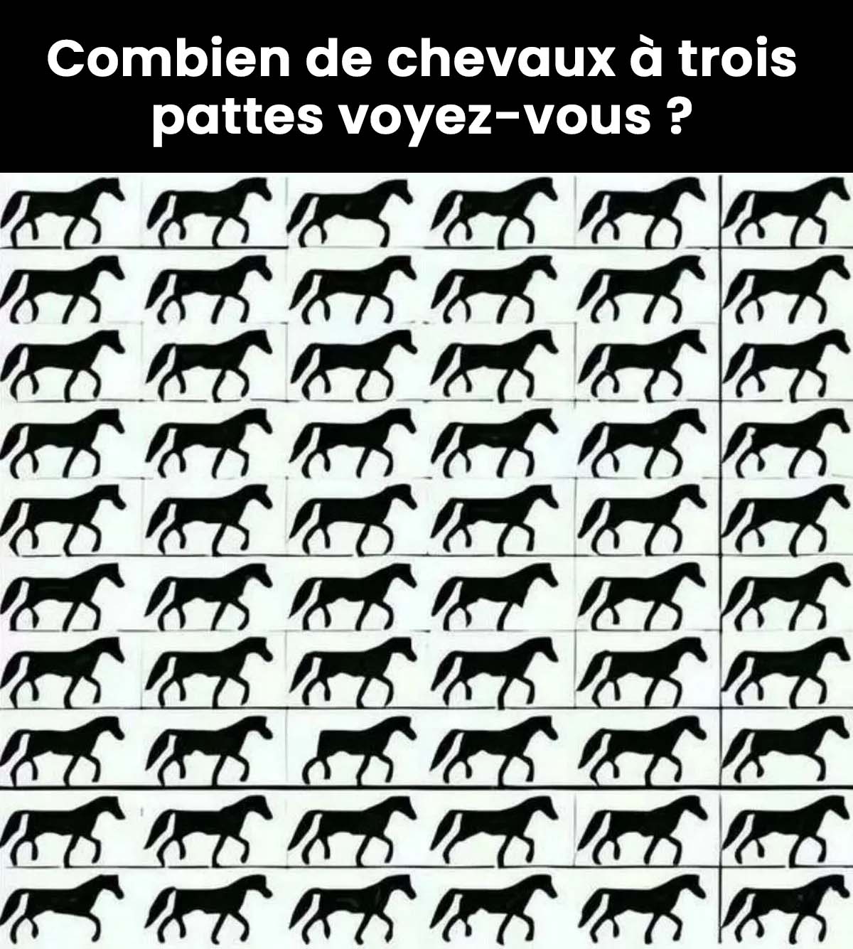 Combien de chevaux à 3 pattes voyez-vous ?